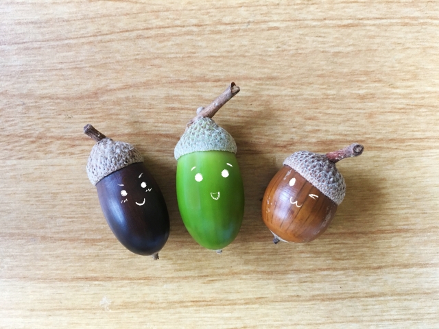 画像の説明