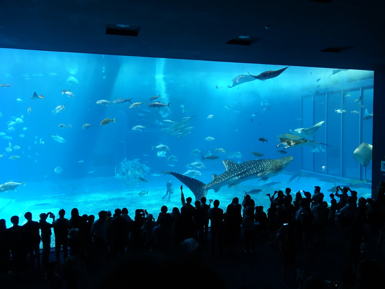 水族館